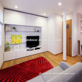 3d popular design polyester shaggy carpet livingroom